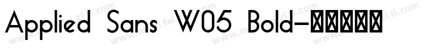 Applied Sans W05 Bold字体转换